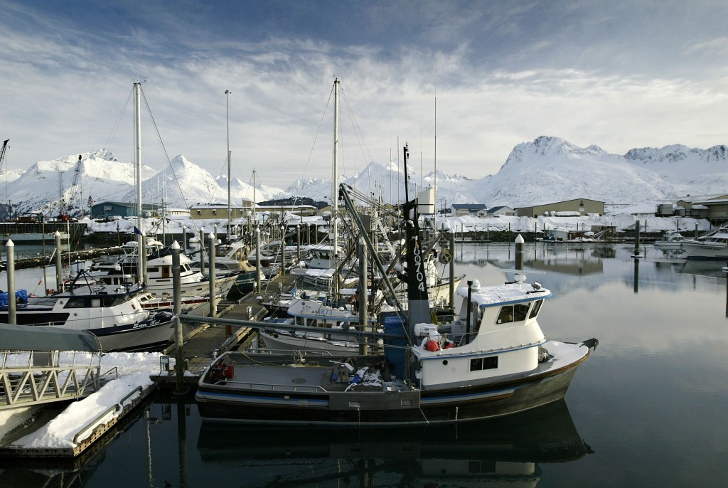 Exxon Valdez Oil Disaster 15 Years Later