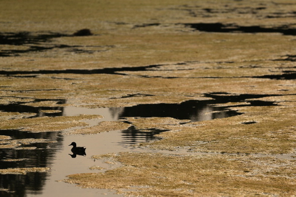 Hot Weather Continues Throughout The UK