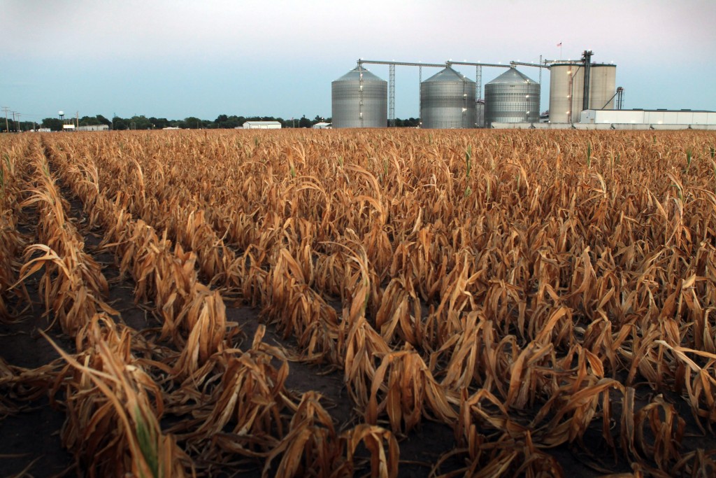 Ethanol Industry Threatened By Midwest Drought