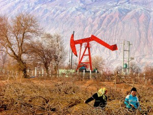 KARAMAY, CHINA - AUGUST 15: (CHINA OUT) Farmers work at a garden near the Karamay Oil Field under the Tianshan Mountain on August 15, 2004 in Karamay of Xinjiang Autonomous Region, west China. The nation's largest oil and gas producer, China National Petroleum Corp (CNPC) on August 22, 2005, reached an initial agreement with PetroKazakhstan Inc to buy the Canadian-registered company for US$4.18 billion, topping the bid from an Indian rival. The State-owned parent of Hong Kong-listed PetroChina, has produced 15.63 million tons of crude oil and 1.9 billion cubic metres of natural gas from its overseas fields in the first half of this year, according to a CNPC official. (Photo by China Photos/Getty Images)